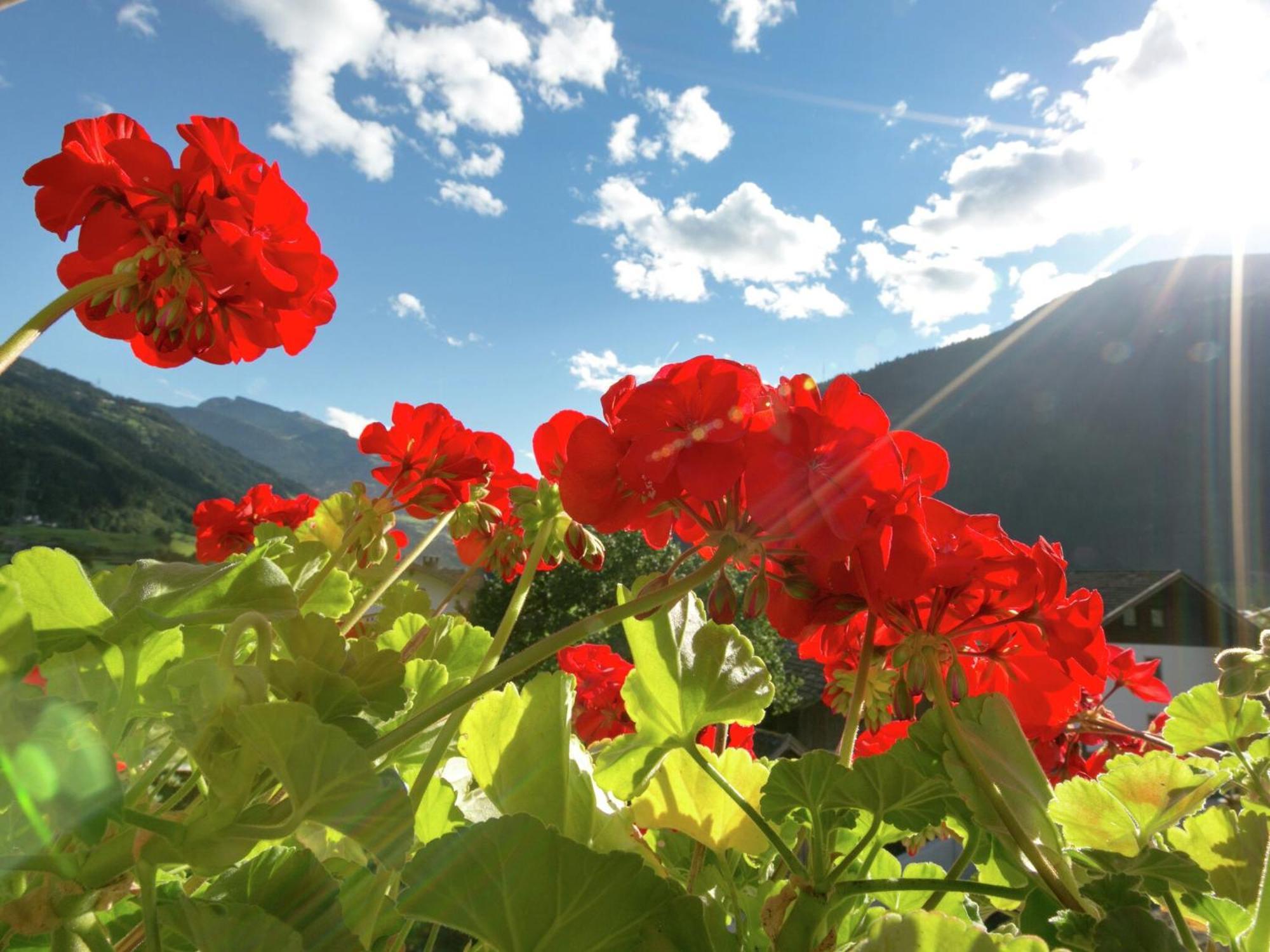 Apartment With Terrace In Aschau Im Zillertal Экстерьер фото
